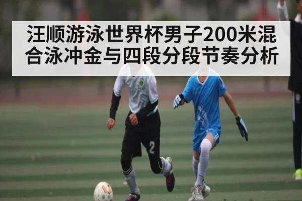汪顺游泳世界杯男子200米混合泳冲金与四段分段节奏分析（kaiyun）